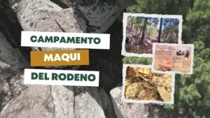 Campamento Maqui del Rodeno